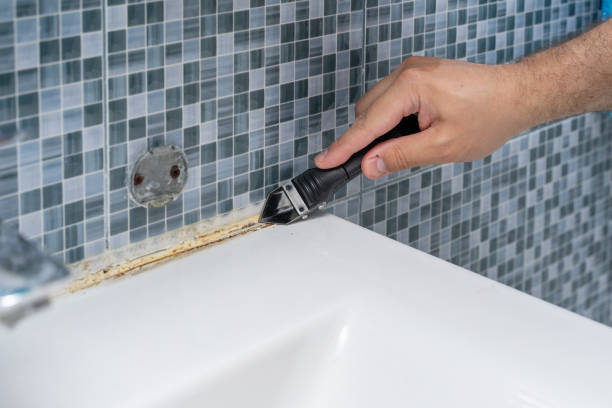 Best Mold Removal Near Me  in Hiawatha, KS