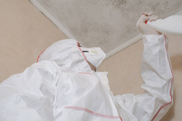 Attic Mold Removal in Hiawatha, KS