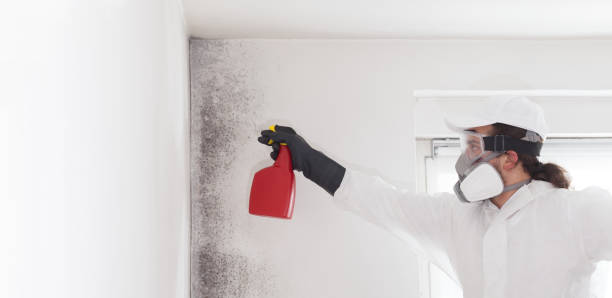 Best Mold Testing  in Hiawatha, KS