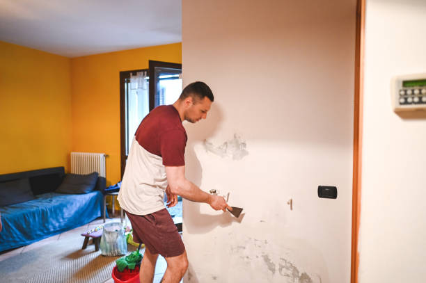 Hiawatha, KS Mold Removal Company